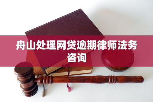 舟山网贷逾期应对指南 律师法务咨询全解析